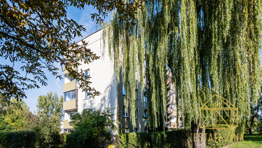 Mieszkanie Wynajem Kraków Macedońska